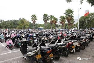 电动车事件最新爆料新闻,揭秘事故真相与责任归属  第2张